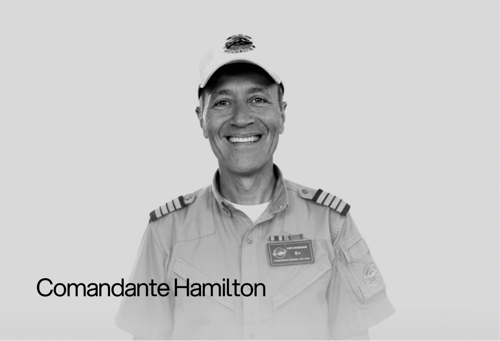 Comandante Hamilton@1x
